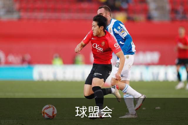 球盟会公司环境